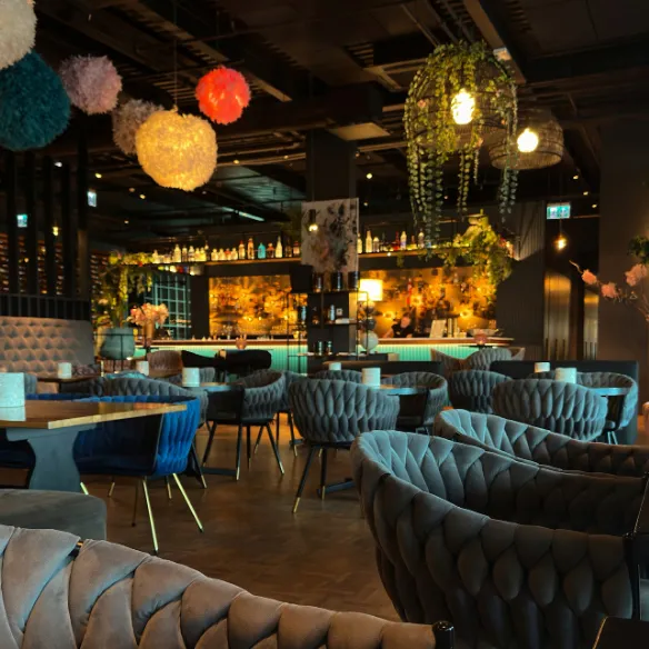 Dine360 Multi-Branch Dashboard